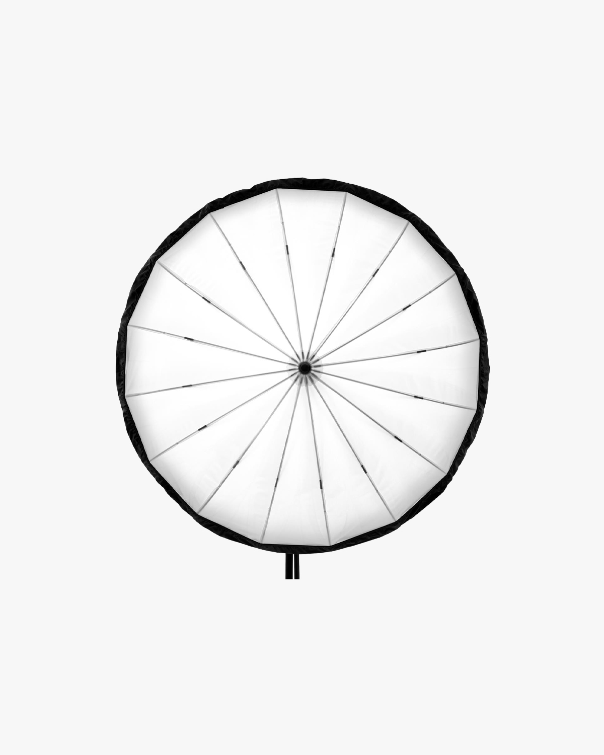 Profoto Umbrella - Backpanel - L 4