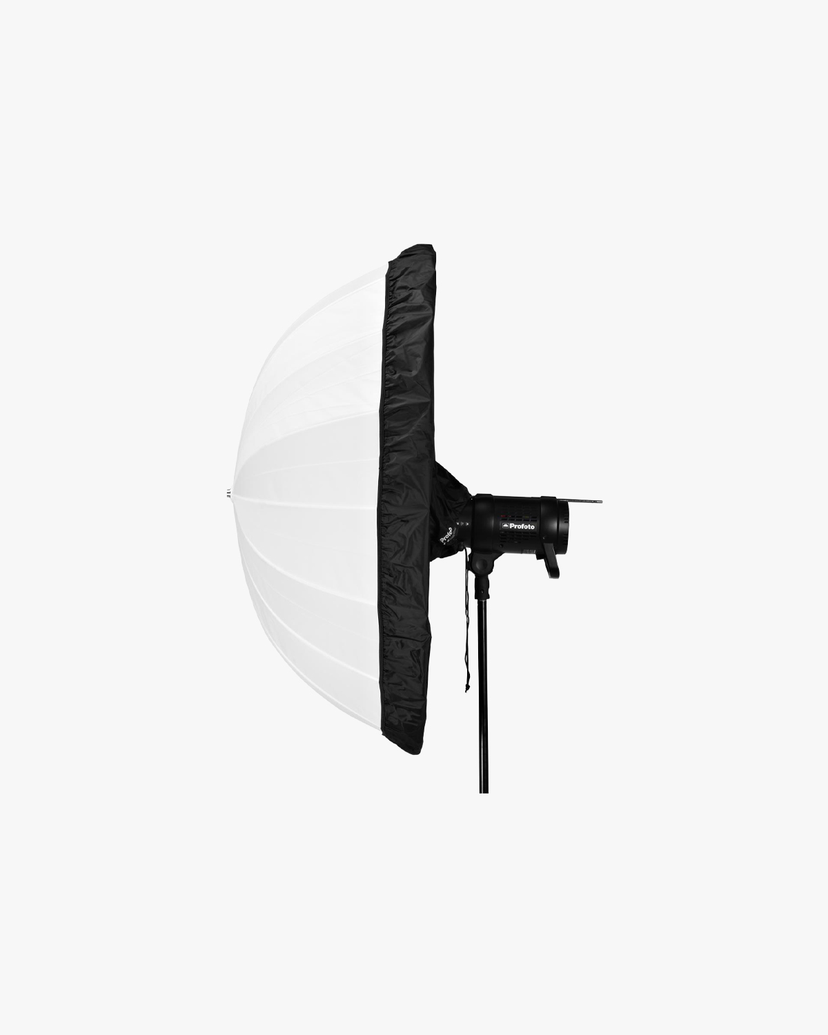 Profoto Umbrella - Backpanel - L 5