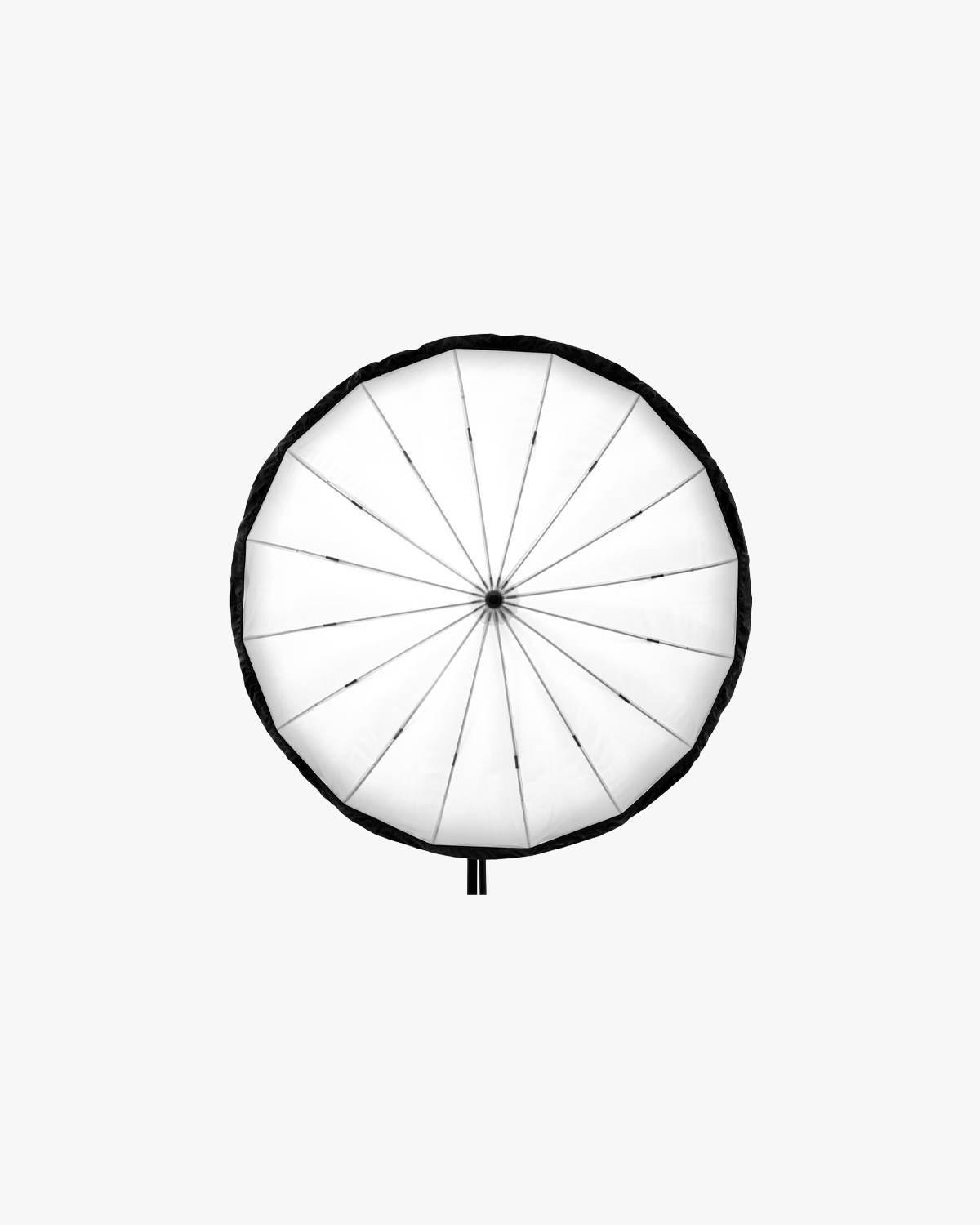 Profoto Umbrella - Backpanel - M 4
